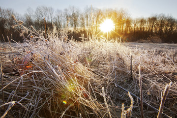 Fototapeta premium A frosty sunrise view in the Berkshire Mountains of Western Massachusetts.