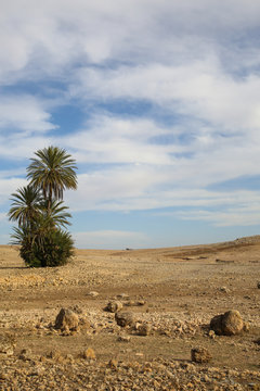 Le Maroc