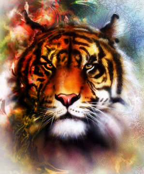  tiger collage on color abstract  background and mandala with ornamet , wildlife animals.