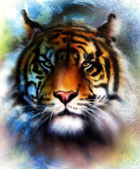  tiger collage on color abstract  background and mandala with ornamet , wildlife animals.