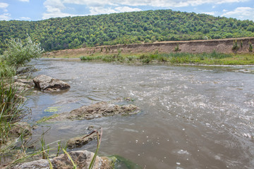 flowing water and forest