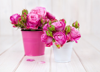 Pink roses on white wooden background. flowers