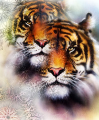 Obraz premium tiger collage on color abstract background and mandala with ornamet , wildlife animals.