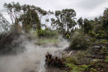 Mist and steam at the Champagne Pool, Rotarua Geothermal area