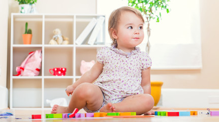 Toddler girl playing with her toys