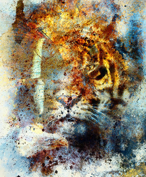  gentle portrait tiger with eagle and butterfly wings.. Color Abstract background and retro, vintage structure. Animal concept. Blue, orange, black and white color.