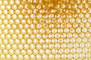 honeycomb