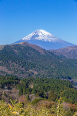 箱根峠付近から見た富士山