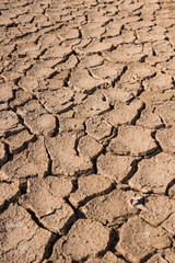 Crack surface of clay in hot terrain