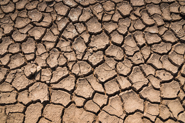 Crack surface of clay in hot terrain