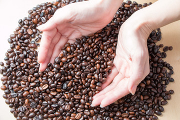 Fresh roasted organic Coffee beans in a woman hands on isolated background, food and drink background