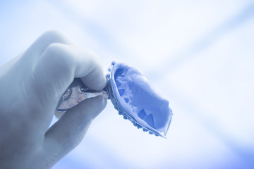 Dental mold dentists clay teeth gel gum plate cast