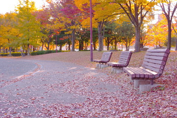 秋の公園のベンチ