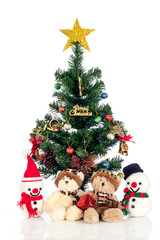 Snow Man bears and Christmas trees on a white background.