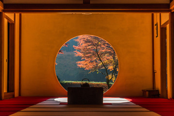鎌倉　明月院