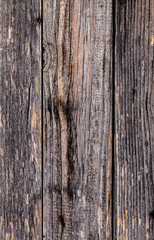 texture wood brown material