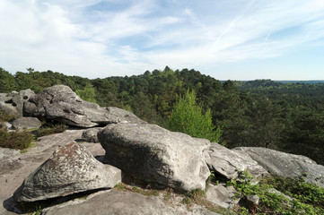 Point de vue sur le sentier des 25 bosses. Massif de  Fontainebleau