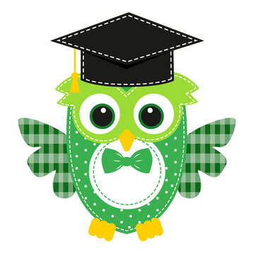 owl funny green study