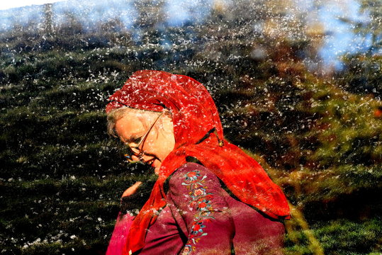 Zwergin, Frau mit roter M&uuml;tze