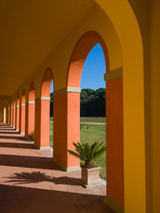 perspective view of an arched walkway  in a sunny day