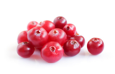 Ripe cranberry