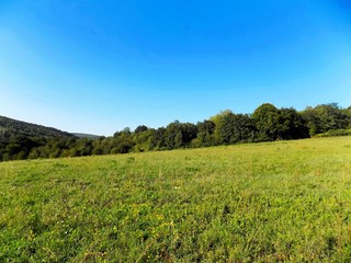 Meadow, forest and sky