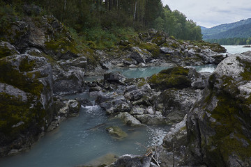 The beautiful nature in the summer in the mountains.