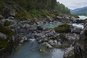 The beautiful nature in the summer in the mountains.