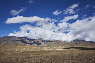 The beautiful nature in the summer in the mountains.