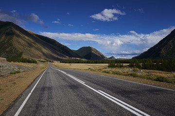 The road in the mountains in summer.