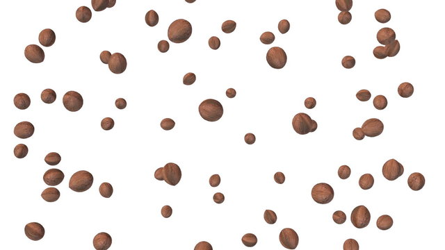 Falling nut on white background. 