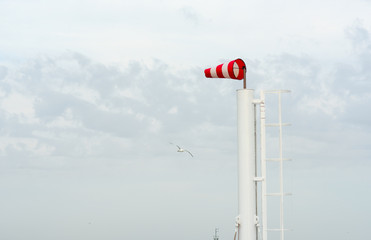 a seagull and a ship mast