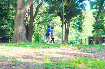 Fototapeta premium ueno park,tokyo,tourism of japan（上野公園）