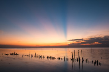 Naklejka premium The Nature Education Center for Mangrove Conservation and Ecotourism in Chonburi
