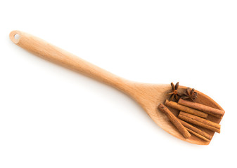 cinnamon stick and star anise spice 