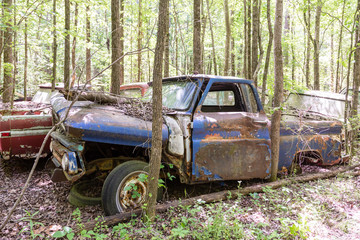 Old Blue Pickup