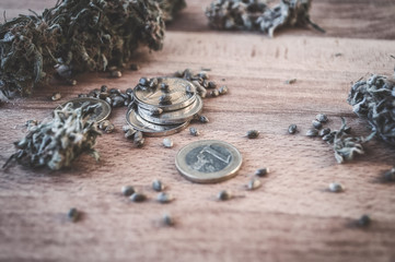 cannabis seeds and money