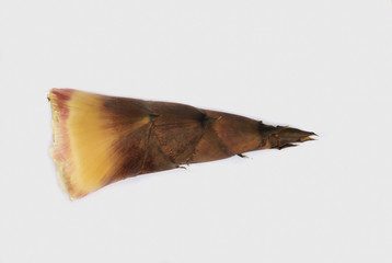 Bamboo isolated white background