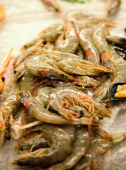 Fresh shrimp are frozen. For sale to cook.