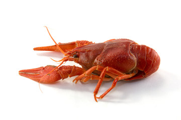 Boiled crawfish