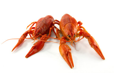 Boiled crawfish