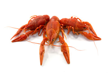 Boiled crawfish