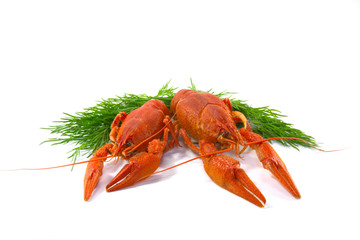 Boiled crawfish