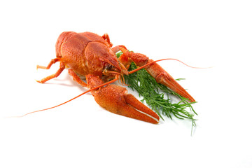 Boiled crawfish
