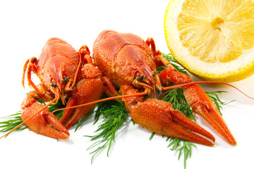 Boiled crawfish