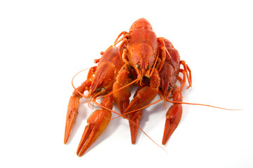 Boiled crawfish
