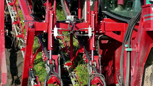 Machinery specialized for harvest carrots