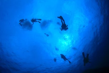 Tuinposter Scuba divers diving © Richard Carey