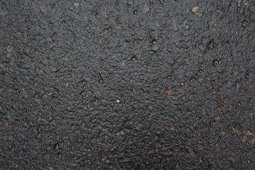 wet asphalt in the path