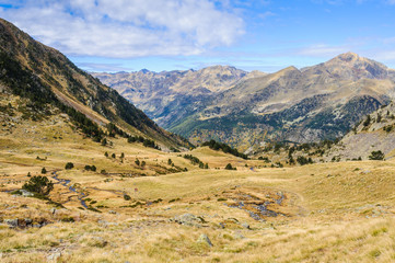 Fototapeta na wymiar in the Valley of Estanyo River, Andorra